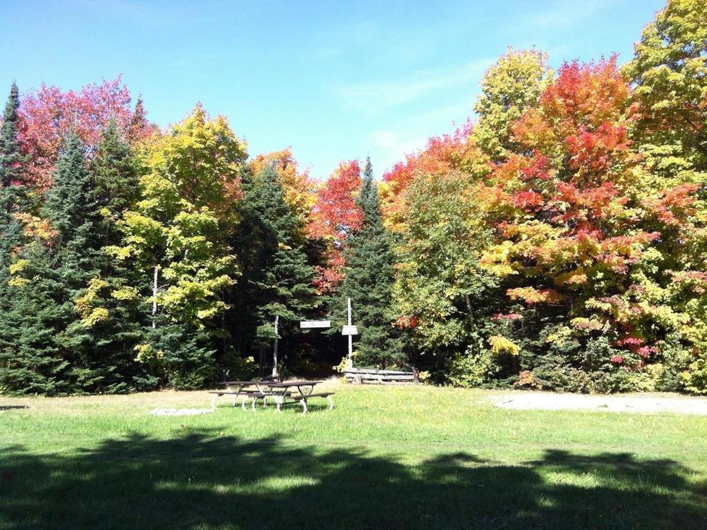 סאולט סאינטה מארי Glenview Cottages מראה חיצוני תמונה